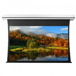 Liberty Grandview 189" (16:10) Premium Recessed TAB-TENTIONED Screen With Trap Door GG3. PS Series Grey (with Wooden Crate packing).