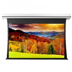 Liberty Grandview 189" (16:10) Premium Recessed TAB-TENTIONED Screen With Trap Door DY20. Dynamique 3D. (with Wooden Crate packing).