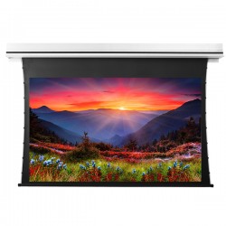 Liberty Grandview 189" (16:10) Premium Recessed TAB-TENTIONED Screen With Trap Door AT6. Accoustic Weaved (with Wooden Crate packing).