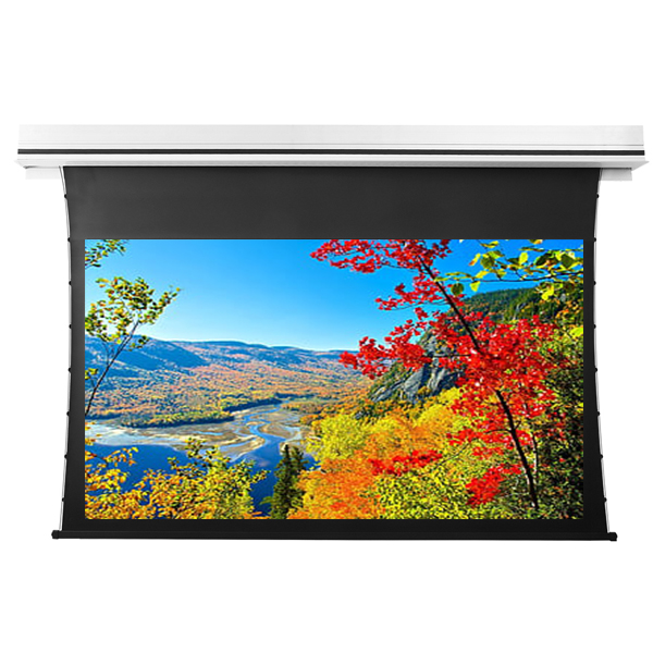 Liberty Grandview 100" (2.35:1) Premium Recessed TAB-TENTIONED Screen With Trap Door DY20. Dynamique 3D.