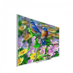 Liberty Grandview Remarkable Hard Surface Screens 70" (16:10) Standard with Aluminium Frame  Screen.