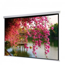 Liberty Show Manto 84" (4:3)  Motorized Screen with Matte White Fabric & RF Remote with Synchronous Motor 