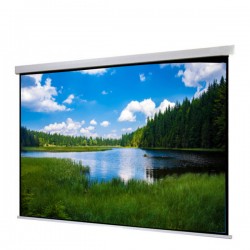 Liberty Show Manto Motorized 200"  (16:9) Screen with Matte White Fabric & RF Remote with Tubular Motor