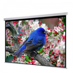Liberty Show Manto Motorized 94"  (16:10) Screen with Matte White Fabric & RF Remote with Synchronous Motor