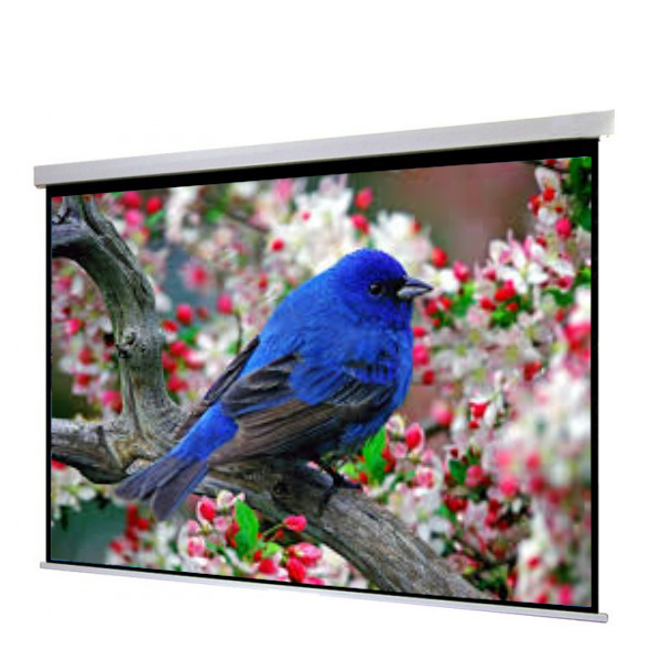 Liberty Show Manto Motorized 94"  (16:10) Screen with Matte White Fabric & RF Remote with Synchronous Motor