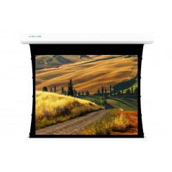 Liberty Screen Pro 250" 16:9 Topview Tab-Tensioned Motorized T8 Screen 