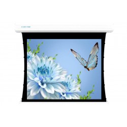 Liberty Screen Pro 250" 16:10 Topview Tab-Tensioned Motorized TW Screen  