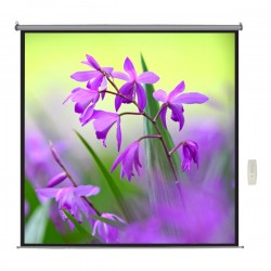 Liberty  Lite 84"  (4:3) Motorized Screen with matte white fabric & RF remote (6'x4')