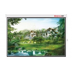 Liberty Redleaf View 240" (4:3) Giant Motorized Screen with Case-158, Roller-114