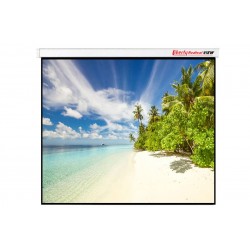 Liberty Redleaf View 350" (16:9) Giant Motorized Screen with Case-300, Roller-219