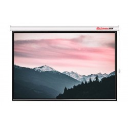 Liberty Redleaf View 300" (16:9) Giant Motorized Screen with Case-215, Roller-159