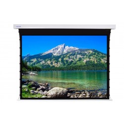 Liberty Screen Pro 220" 4:3 Jampo Tab-Tensioned Motorized TW Screen 