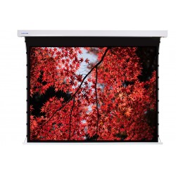 Liberty Screen Pro 180" 16:9 Jampo Tab-Tensioned Motorized TW Screen 