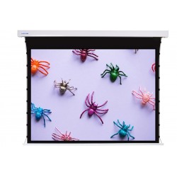 Liberty Screen Pro 92" 16:10 Jampo Tab-Tensioned Motorized TW Screen 