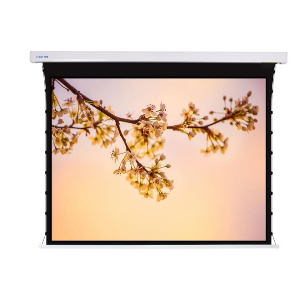 Liberty Screen Pro 100" 16:10 Jampo Tab-Tensioned Motorized TW Screen 