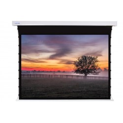 Liberty Screen Pro 120" 16:10 Jampo Tab-Tensioned Motorized TW Screen 