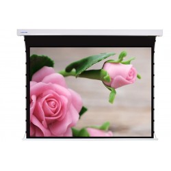 Liberty Screen Pro 125" 16:10 Jampo Tab-Tensioned Motorized TW Screen 