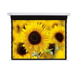 Liberty Screen Pro 220" 16:10 Jampo Tab-Tensioned Motorized TW Screen 