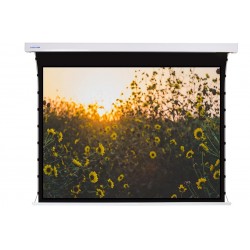 Liberty Screen Pro 84" 4:3 Jampo Tab-Tensioned Motorized TW Screen 