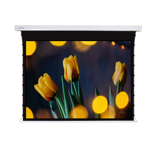 Liberty Screen Pro 100" 4:3 Jampo Tab-Tensioned Motorized TW Screen 