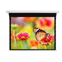 Liberty Screen Pro 180" 4:3 Jampo Tab-Tensioned Motorized TW Screen 