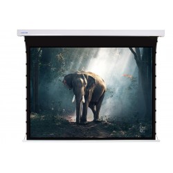 Liberty Screen Pro 200" 4:3 Jampo Tab-Tensioned Motorized TW Screen 