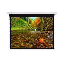 Liberty Screen Pro 110" 16:9 Jampo Tab-Tensioned Motorized T8 Screen 