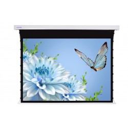 Liberty Screen Pro 92" 16:10 Jampo Tab-Tensioned Motorized T8 Screen  