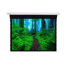 Liberty Screen Pro 110" 16:10 Jampo Tab-Tensioned Motorized T8 Screen 