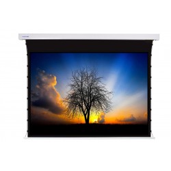 Liberty Screen Pro 180" 16:10 Jampo Tab-Tensioned Motorized T8 Screen  