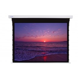 Liberty Screen Pro 120" 4:3 Jampo Tab-Tensioned Motorized T8 Screen 