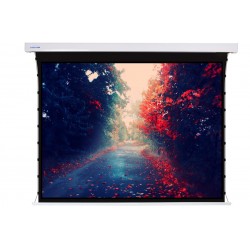 Liberty Screen Pro 200" 4:3 Jampo Tab-Tensioned Motorized T8 Screen 