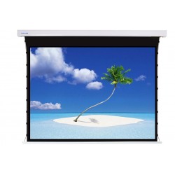 Liberty Screen Pro 110" 16:9 Jampo Tab-Tensioned Motorized  TW screen 