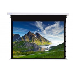 Liberty Screen Pro 125" 16:9 Jampo Tab-Tensioned Motorized TW Screen 