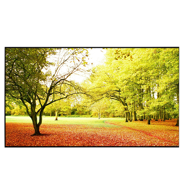 Liberty Grandview 133" (16:9) S7 Edge Lite Fixed Frame With 15 mm AW6 Screen.