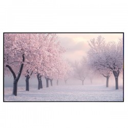 Liberty Grandview 165" (16:9) S7 Edge Lite Fixed Frame With 15 mm AW6 Screen.