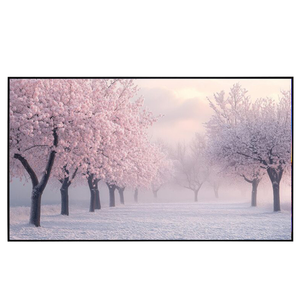 Liberty Grandview 165" (16:9) S7 Edge Lite Fixed Frame With 15 mm AW6 Screen.
