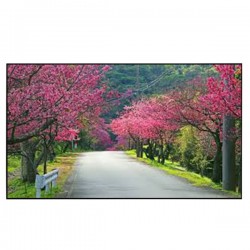 Liberty Grandview 200" (16:9) S7 Edge Lite Fixed Frame With 15 mm MW UHD130 Screen.