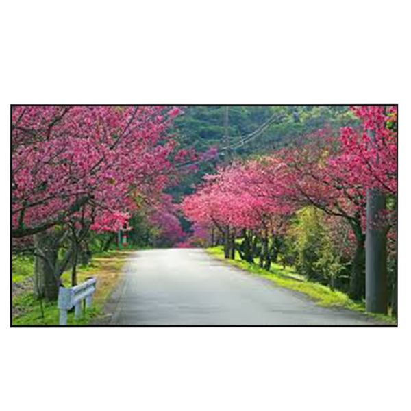 Liberty Grandview 200" (16:9) S7 Edge Lite Fixed Frame With 15 mm MW UHD130 Screen.