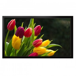 Liberty Screen Max 165” (16:9) Fixed Frame Screen 4K. 80 mm. MW