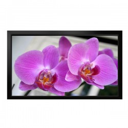 Liberty Screen Max 150” (16:9) Fixed Frame Screen 4K. 80 mm. Acoustic Woven 'C' Fabric