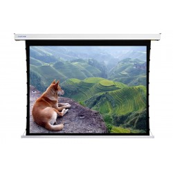 Liberty Screen Pro 100" 16:9 Benz Tab-Tensioned Motorized MT Screen