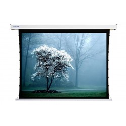 Liberty Screen Pro 180" 16:9 Benz Tab-Tensioned Motorized MT Screen