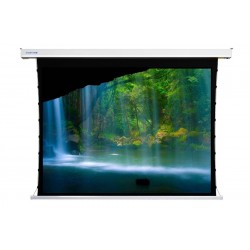 Liberty Screen Pro 92" 16:10 Benz Tab-Tensioned Motorized MT Screen 