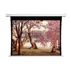 Liberty Screen Pro 133" 16:10 Benz Tab-Tensioned Motorized MT Screen