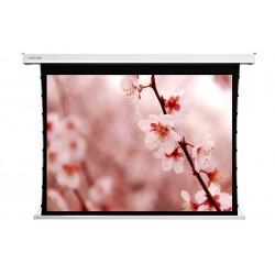 Liberty Screen Pro 160" 16:10 Benz Tab-Tensioned Motorized MT Screen