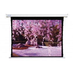 Liberty Screen Pro 100" 4:3 Benz Tab-Tensioned Motorized MT Screen