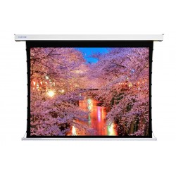 Liberty Screen Pro 120" 4:3 Benz Tab-Tensioned Motorized MT Screen