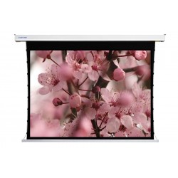 Liberty Screen Pro 150" 4:3 Benz Tab-Tensioned Motorized MT Screen