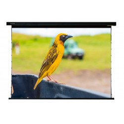 Liberty Screen Pro  Jampo 140" 16:10 ALR Motorised Tab-Tensioned Screen for (UST) Ultra Throw Projector - AJ